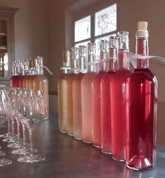 vin rosé et rouge de Provence