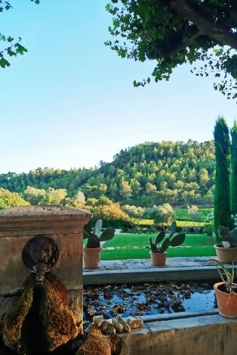 vignoble domaine Saint Andrieu